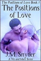 Cover for Book 1: The Positions of Love